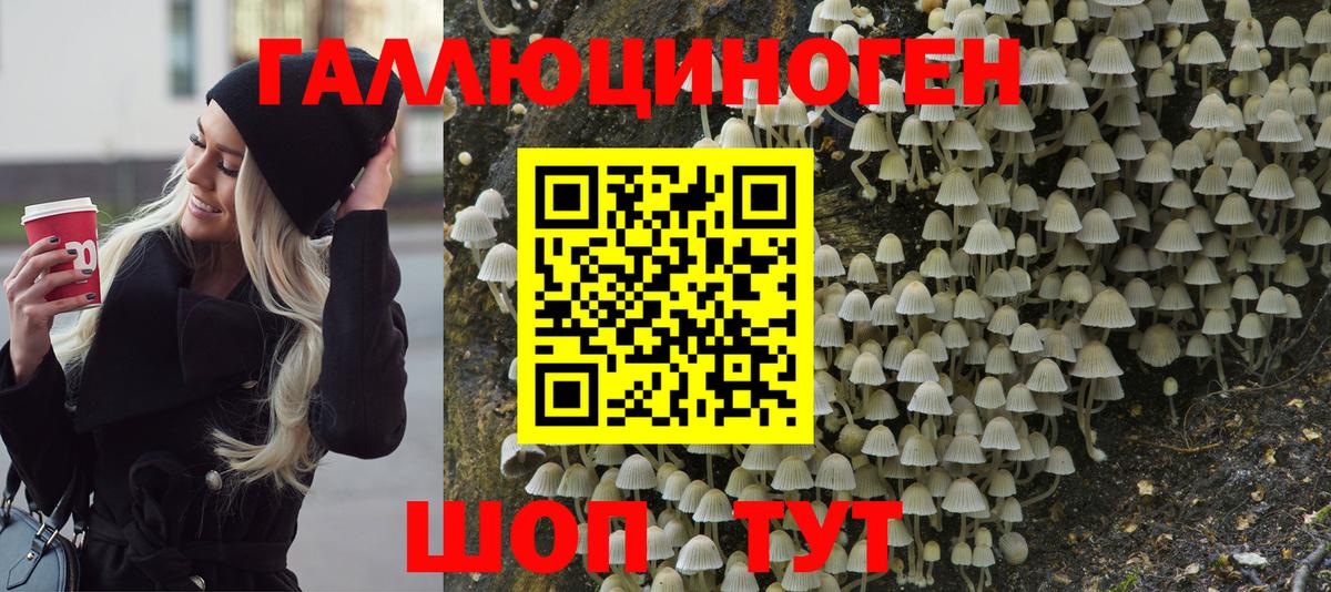 Псилоцибиновые грибы Cubensis  Вход с VPN  Псилоцибиновые грибы GOLDEN TEACHER  Миллерово 