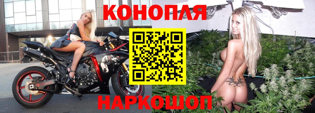 Конопля индика Миллерово